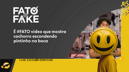 Lula quer exclusão social? Vídeo distorce sua fala!