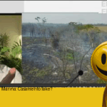 Lula e Marina: O Casamento Verde, mas será que é mesmo amor?