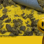 Lula: Boa Vista, a Capital da Paçoca? Onde a carne é mais cara que ouro!